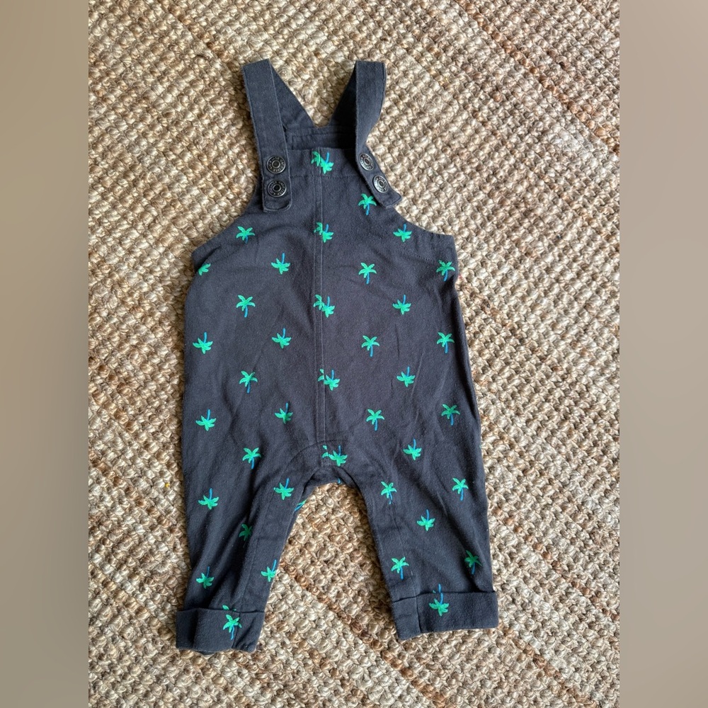 Cat & Jack Charcoal Overalls with Teal Palm Design